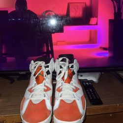 Jordan 6’s “Gatorade”