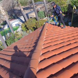 Roofin 