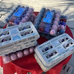 Confetti Eggs For Sale