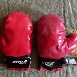 Kids Boxing Gloves Pair