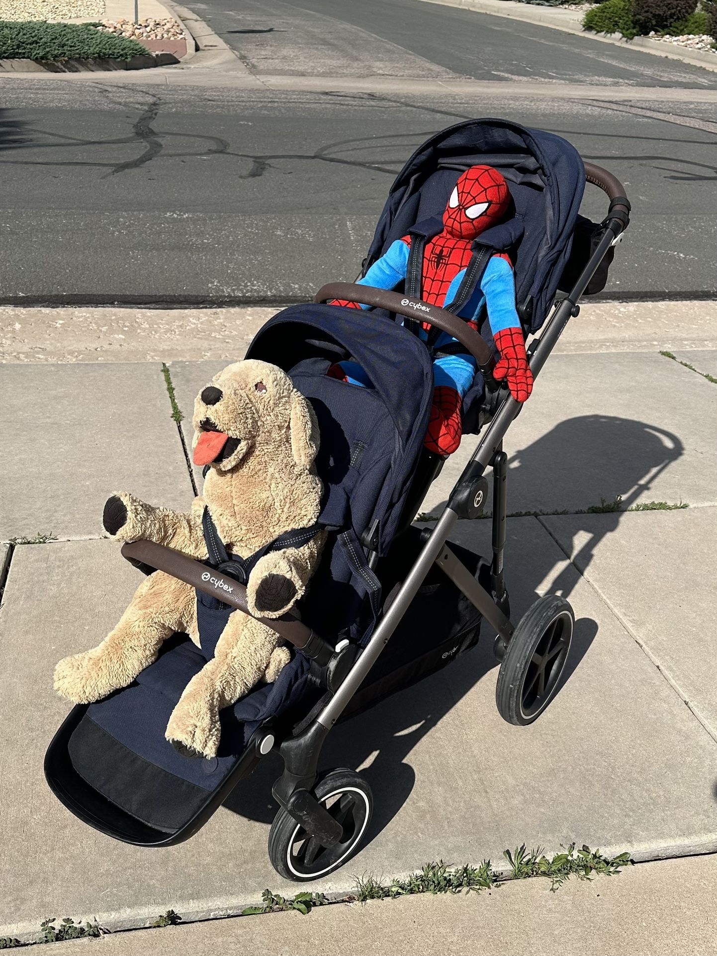 Cybex Gazelle S with Extra Seat