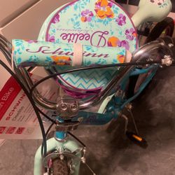 Girls Schwimn Bike 