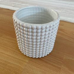 White pot planter