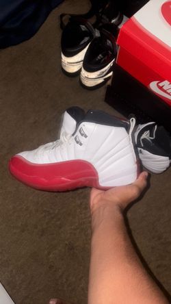 Jordan 12 (9.5M)