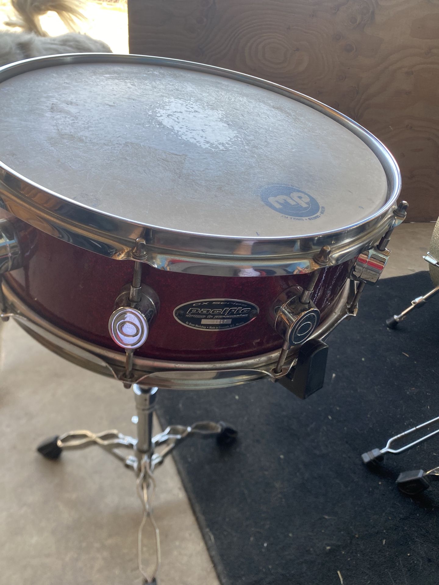 Snare , Tarola