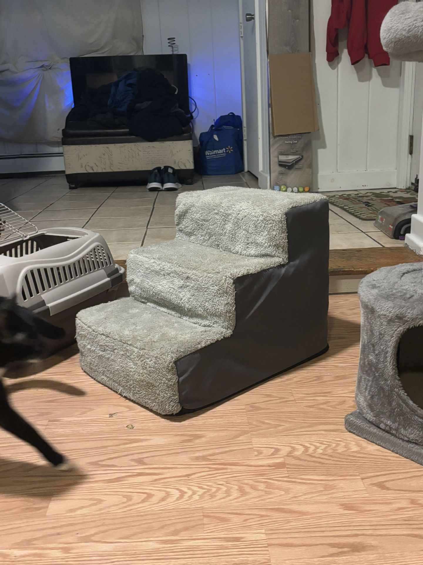 Cat Accessories Cat Toys Cat Crate