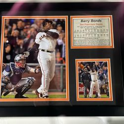 Barry Bonds Pic