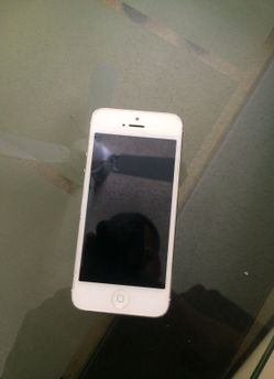 iPhone 5