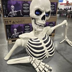 New Giant Ground Breaking Skeleton with LCD Eyes