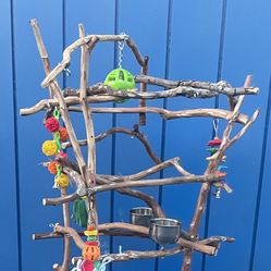 Parrot Perch Tree…, All Natural And Loved By The Feathered Ones ! 👍🏼👍🏼