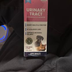 urinary tract for cats