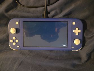 Switch lite