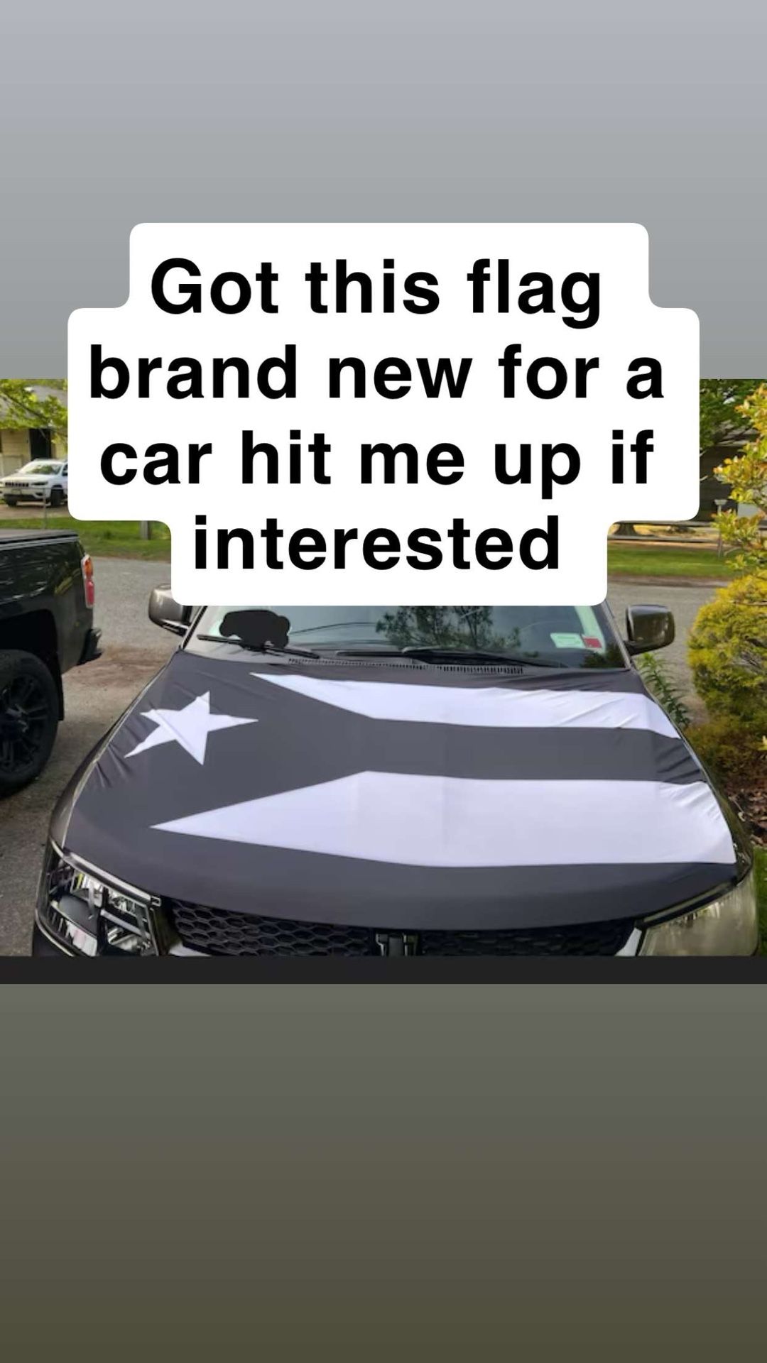 Puerto Rican Flag