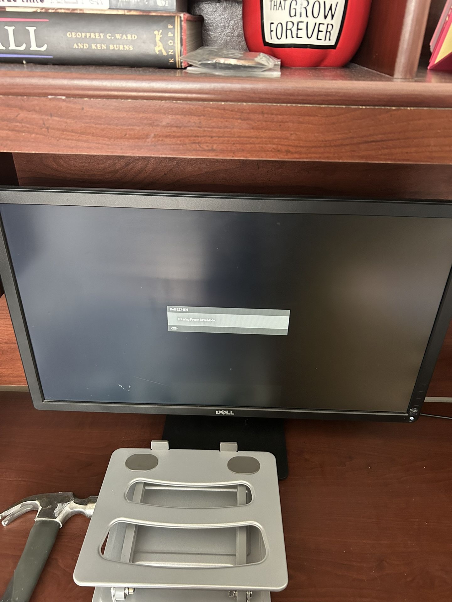 Large Dell Monitor 
