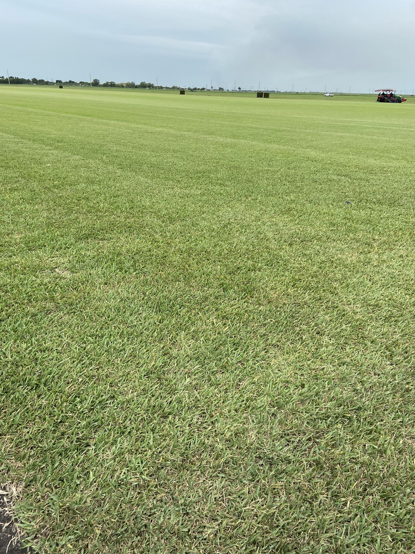 Grass pallets for sale also delivery and installation for Sale in