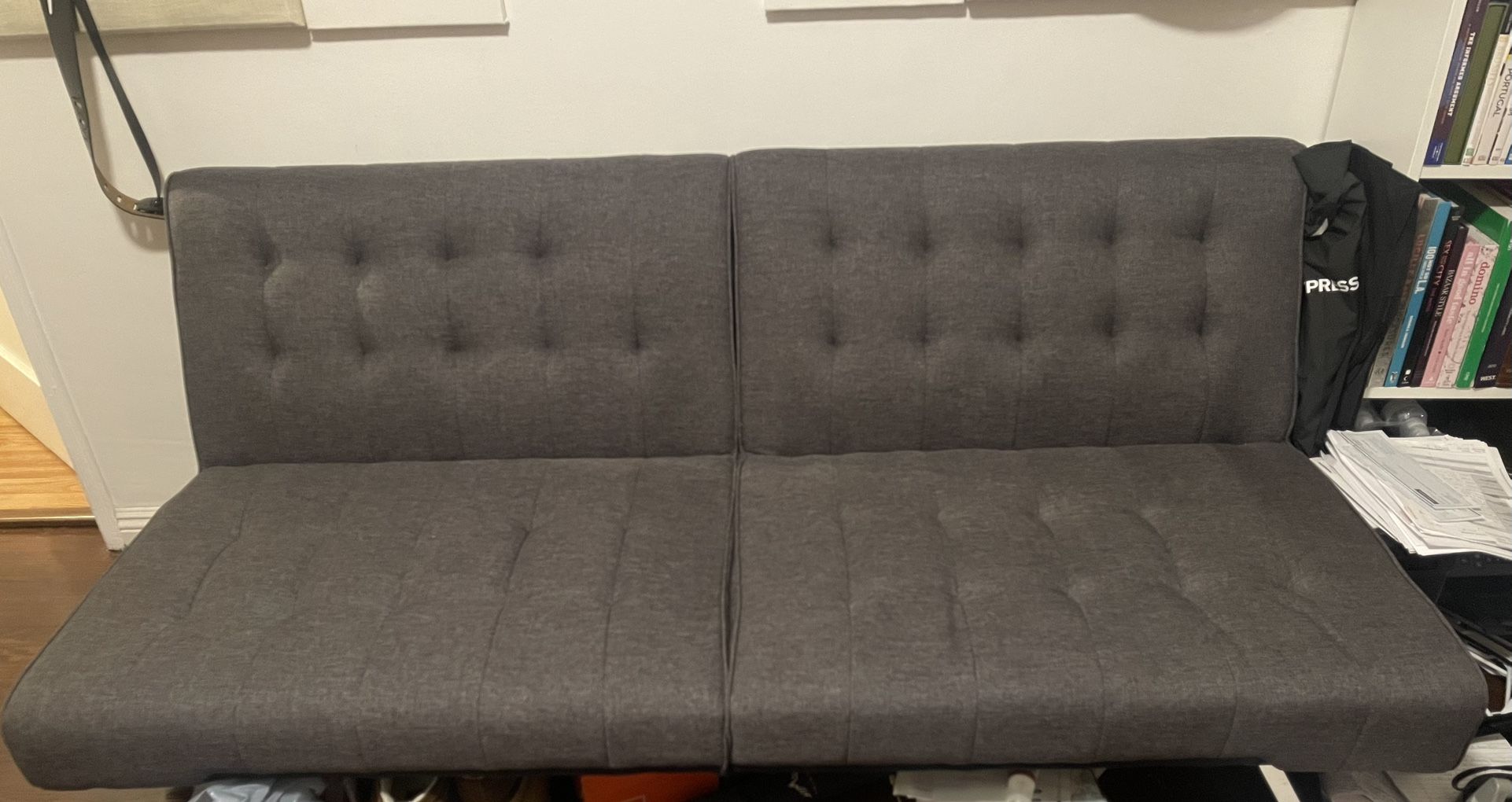 Futon Couch