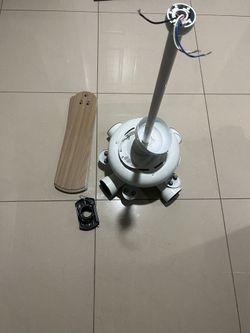 Celling Fan
