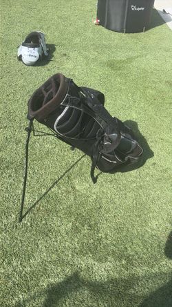 Cobra Golf Bag