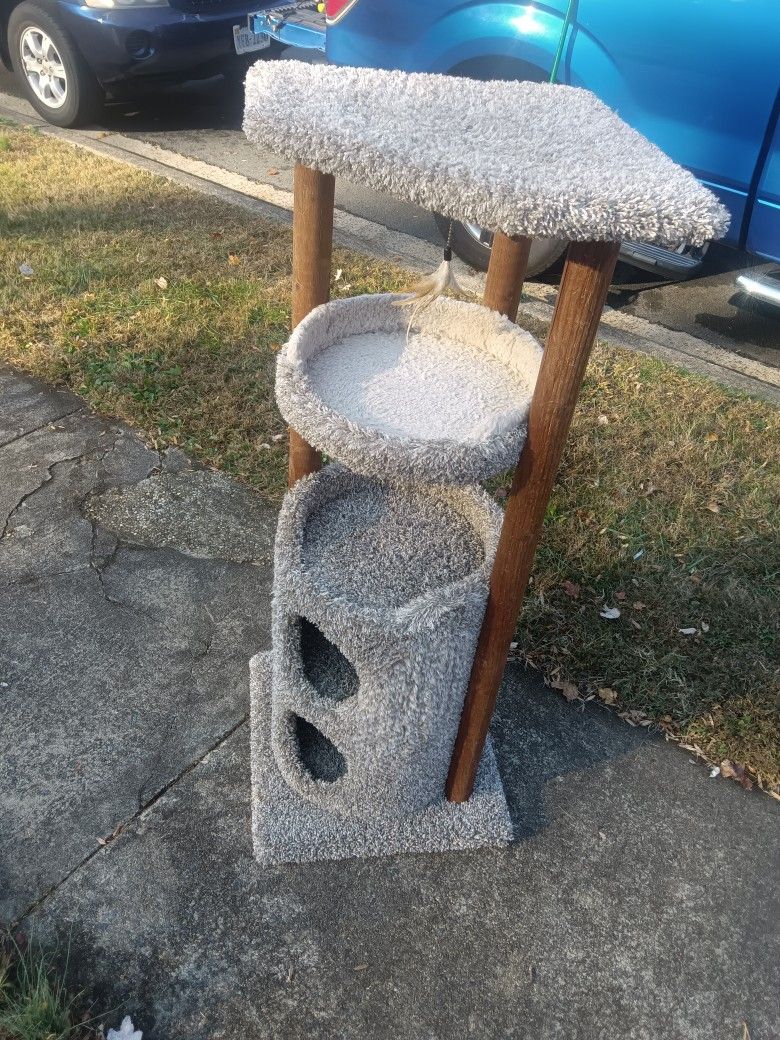 This Is A Cat PlayStation