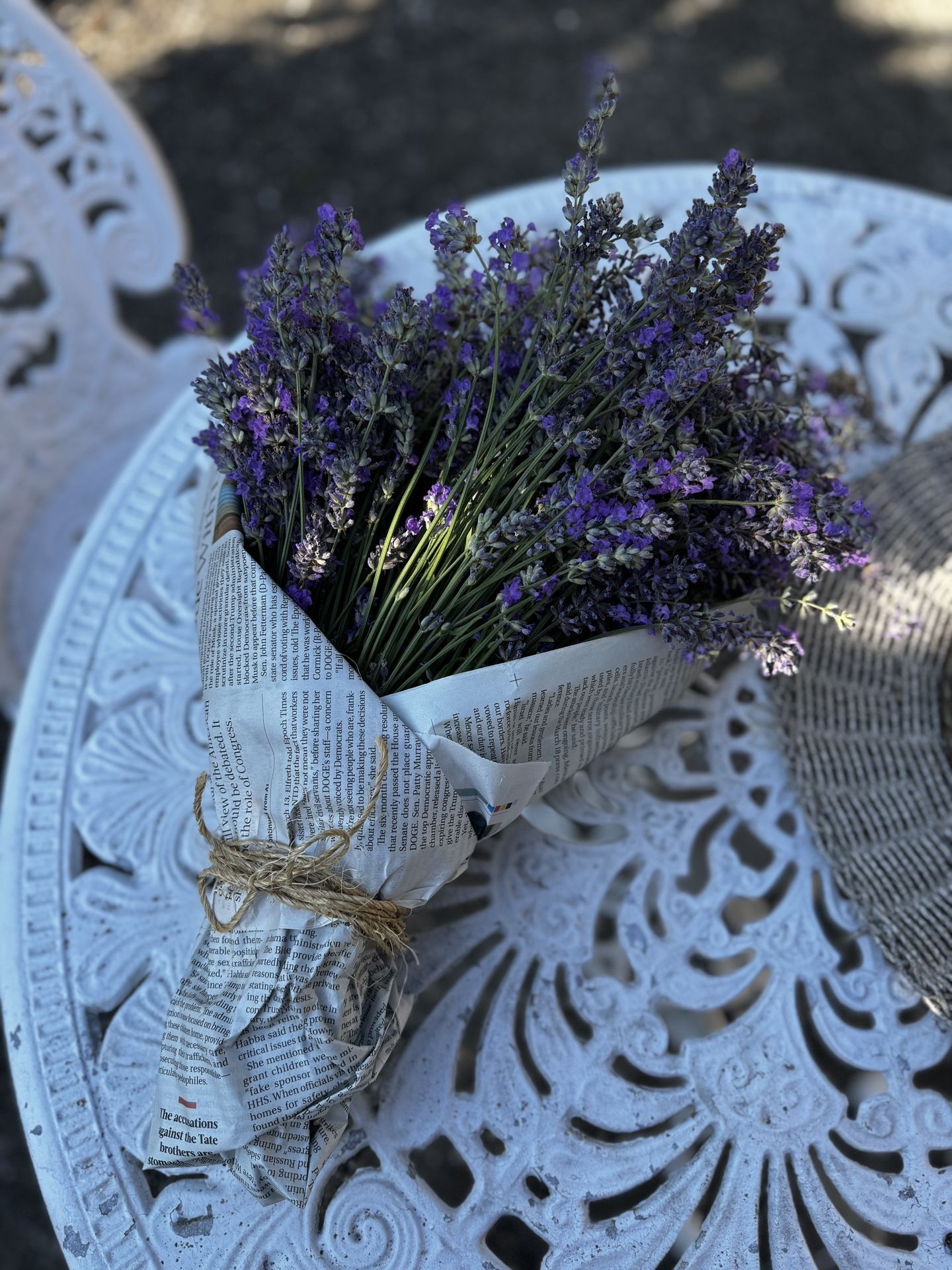 Fresh Cut Lavender