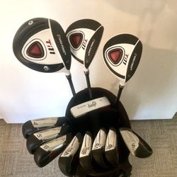SUPER NICE Ladies PETITE Golf Club Set - 12 Clubs & Stand Bag - Undersize Grips!