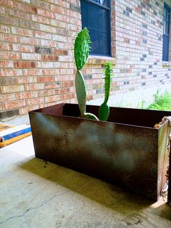 Steel Planter with cactus