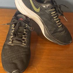 Nike Zoom Peagasus 37