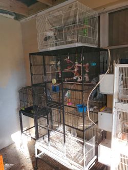 cages for sale