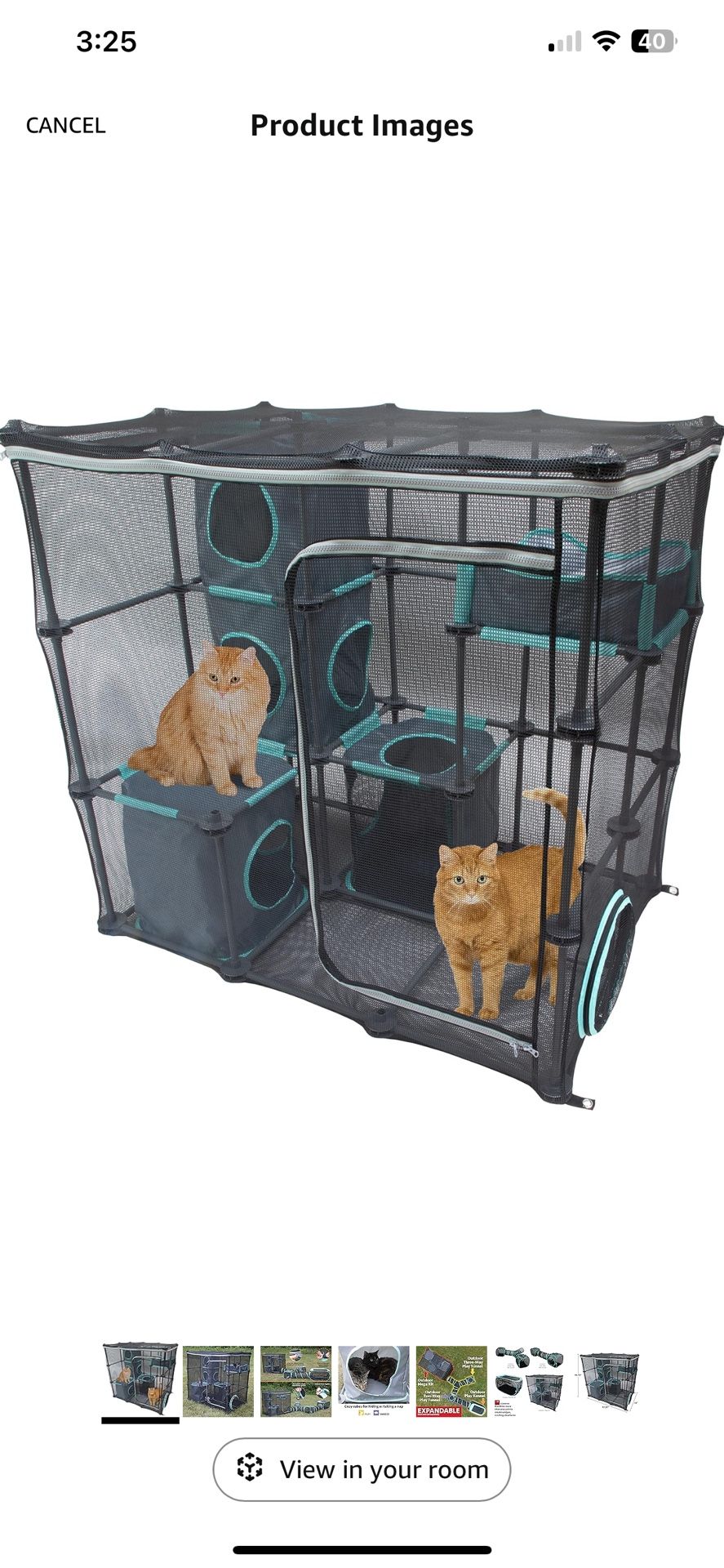 Cat Play Area