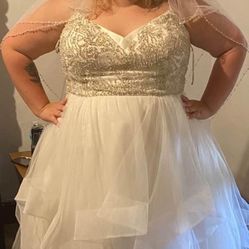 David’s Bridal Plus Dress