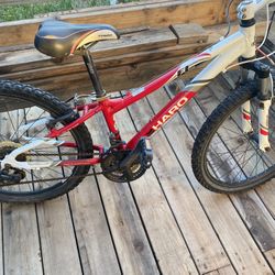 Haro Flightlibe 24”. Needs Work