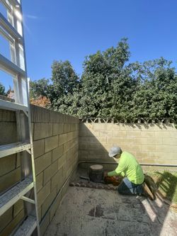 Landscaping 