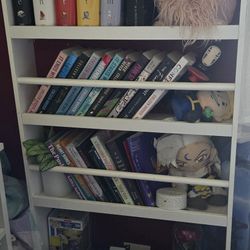 Free Hanging Book Shelf 