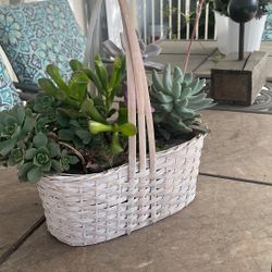 Wicker Succulent Basket