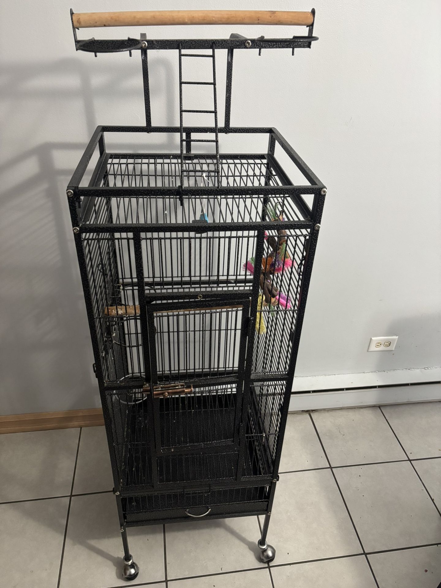 Bird Cage