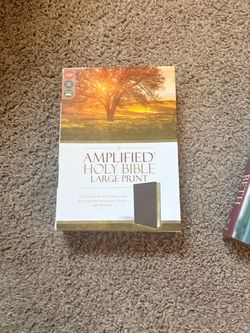LARGE Print Amplified Bible