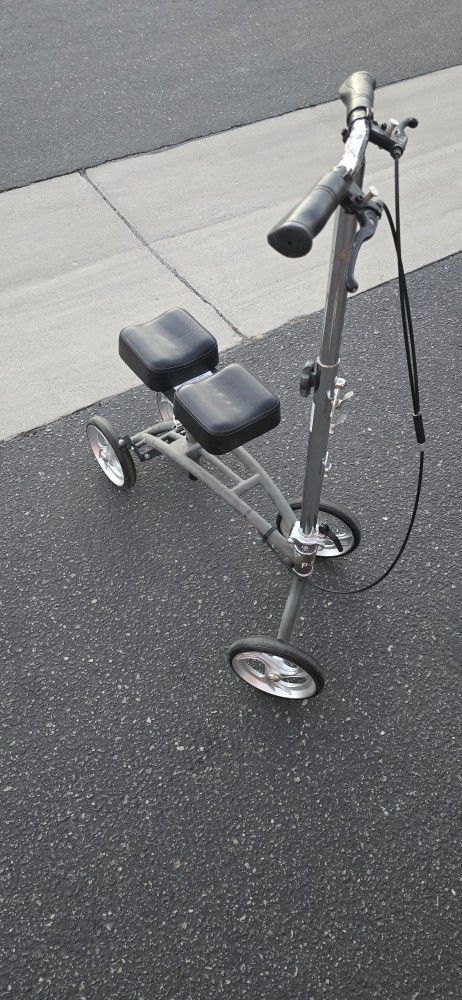 Walker Scooter