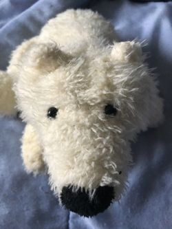 Stuffed animal bear polar bear