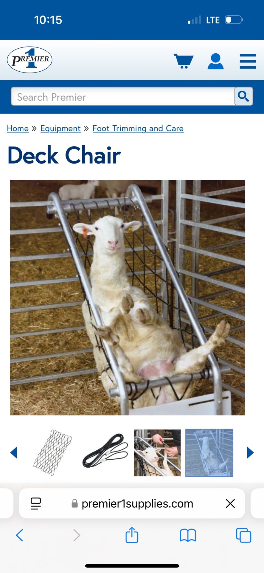 Sheep Chair