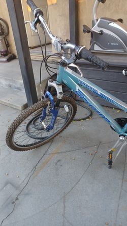 Schwinn Bike