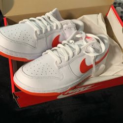 shoes brand new never worn