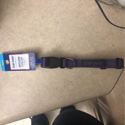 Purple Dog Collar