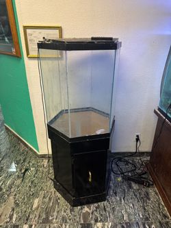 30-gallon hexagon glass aquarium