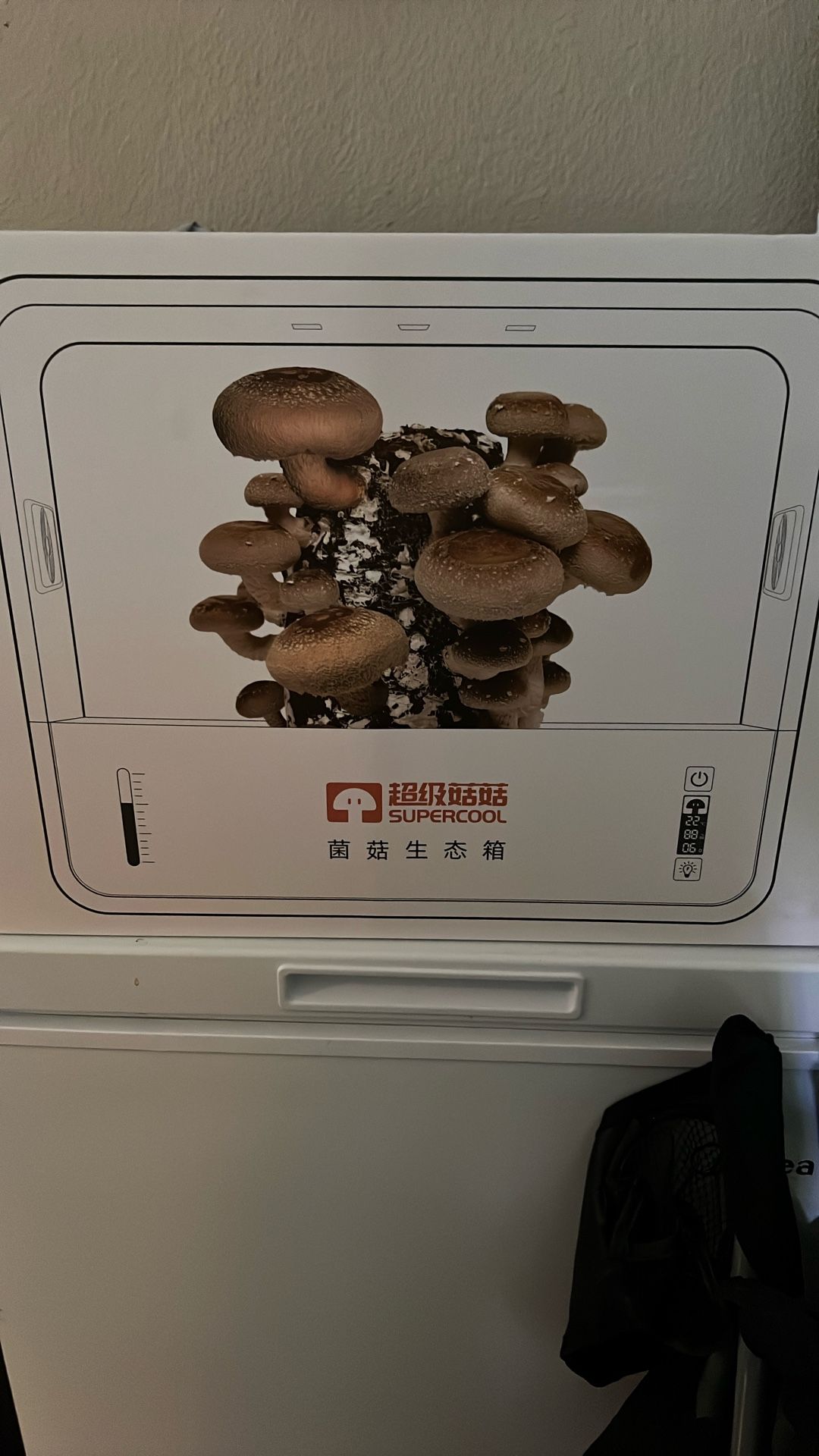 Supercool Mushroom Grow Kit