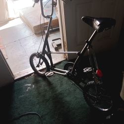 Fold It Up Bike Belt Driven 1980 Picnica 500.00
