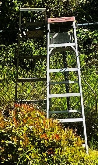 3 Ladders 