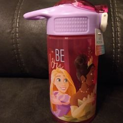 Disney Water Bottle