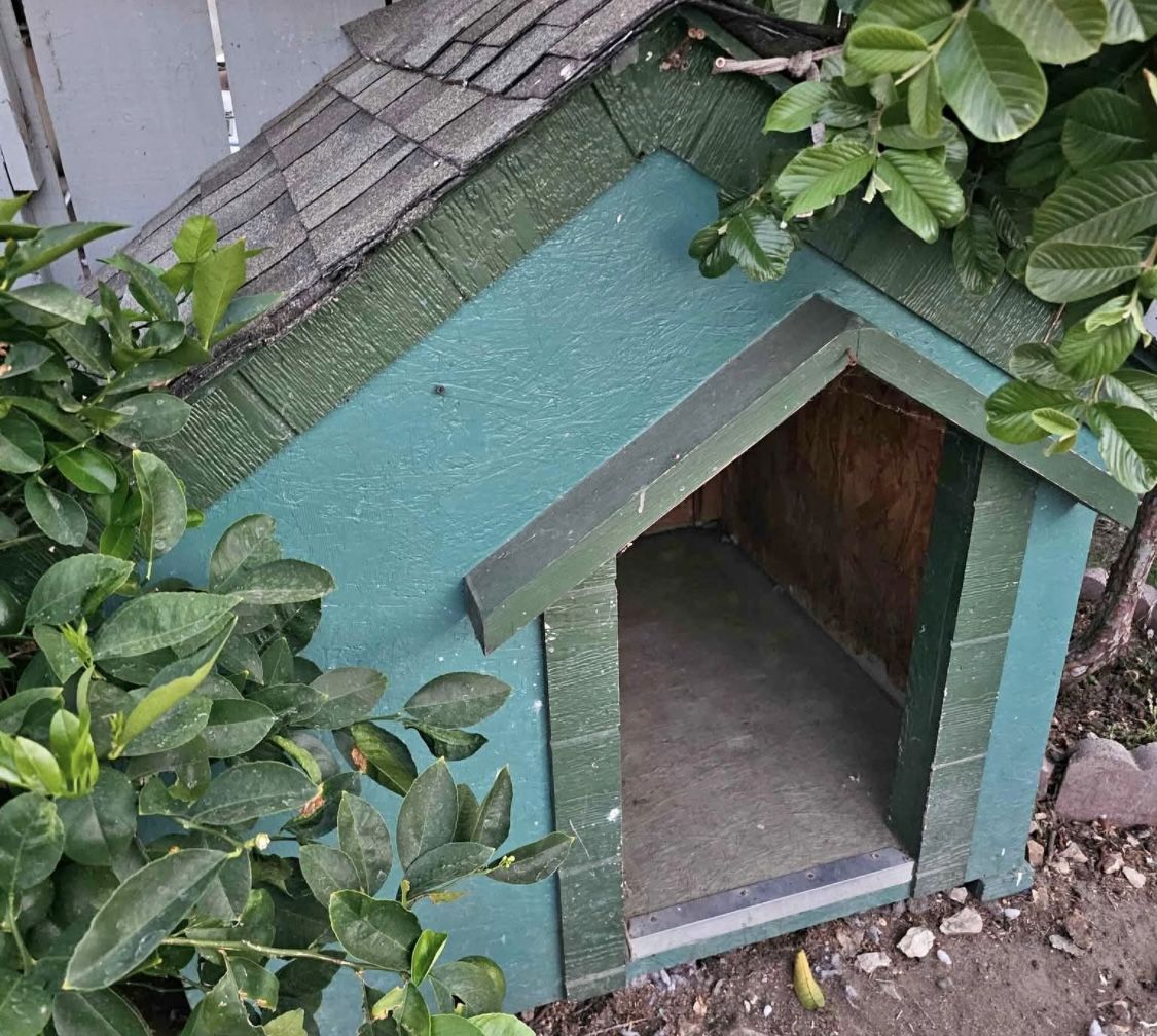 House For Dogs 