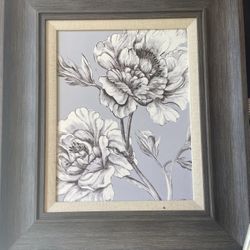 Pictures
