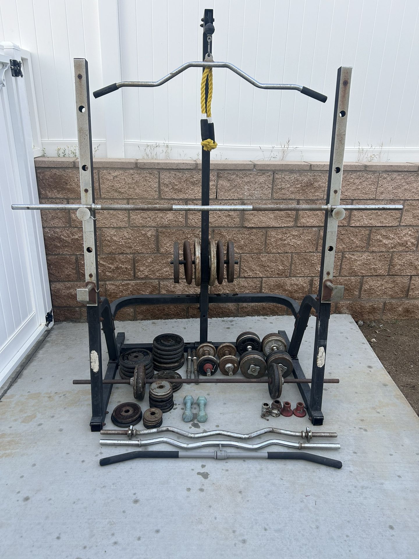 Squat Rack, Curl Bars, Straight Bars and close to 300 Lbs Of Weights